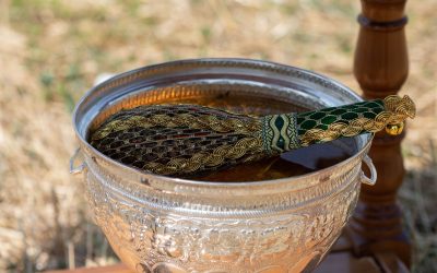 100L4036.jpg - FluxNational