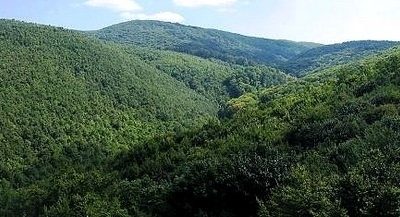 135075_20251226103818_20251226103818.jpg - FluxNational