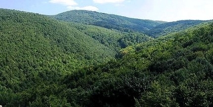 135075_20251226103818_20251226103818.jpg - FluxNational