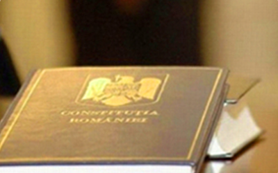 constitutie.png - FluxNational