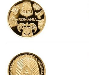 germisara-1-e1766993581866.jpg - FluxNational