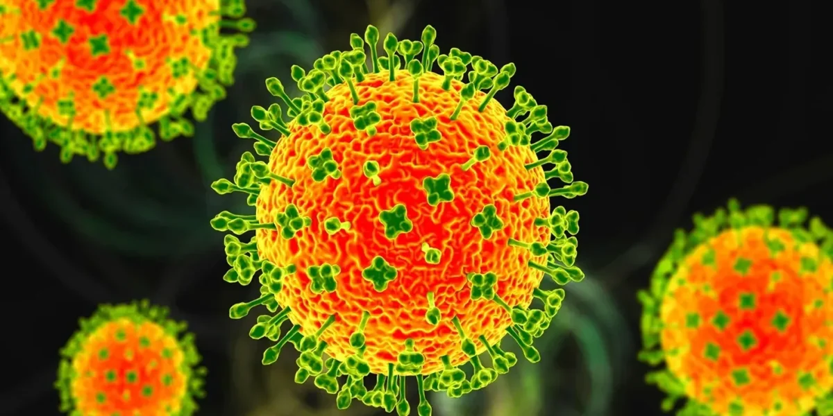 Alertă sanitară: Virusul Nipah își face simțită prezența în India Virusul Nipah, o amenințare semnificativă pentru sănătatea publică, a fost identificat recent în India, unde au fost raportate cinci cazuri suspecte de infecție, dintre care două sunt confirmate