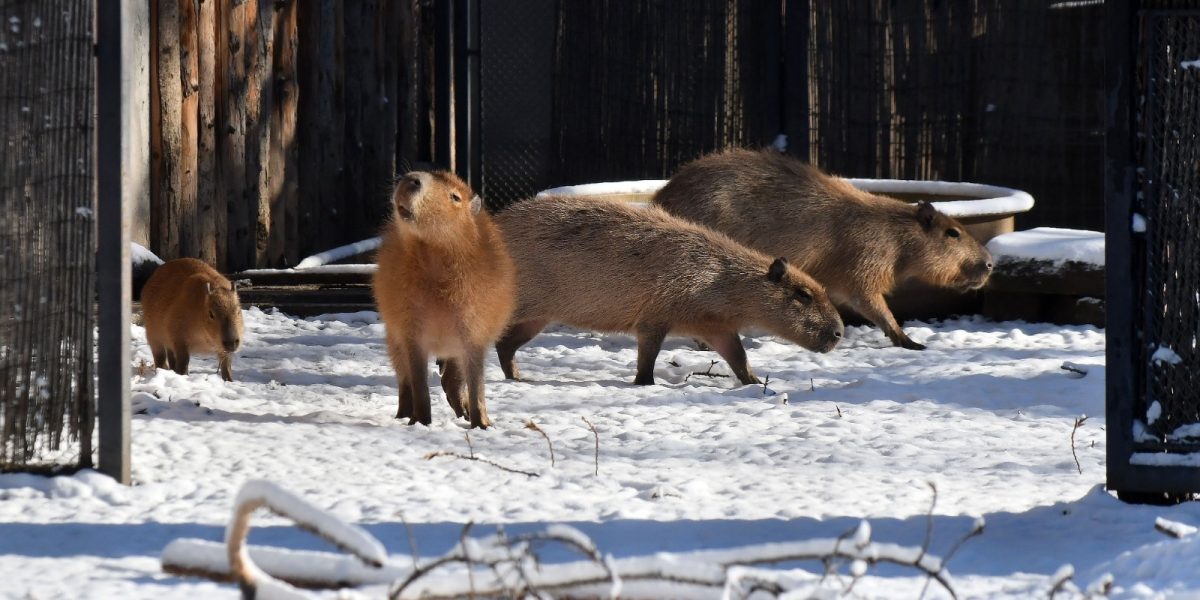 614370520_1220176896956679_1214751046734950909_n.jpg - FluxNational