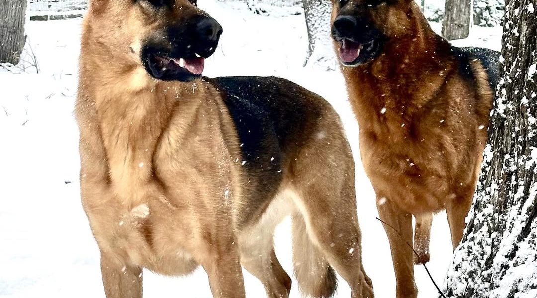 614862386_1473170691474745_5015169552524529986_n.jpg - FluxNational