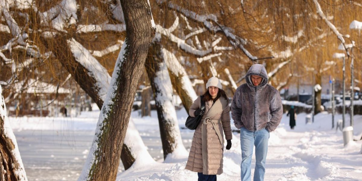 62606313.jpg - FluxNational