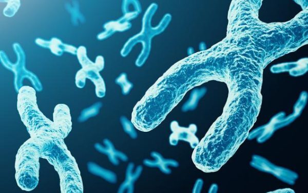 ADMA Biologics, în creștere cu 13,8%: Oportunități promițătoare pentru 2026 Acțiunile ADMA Biologics au înregistrat o creștere remarcabilă de 13,8% în ultimele trei luni, depășind astfel progresul sectorului, care a crescut cu 9% în aceeași perioadă