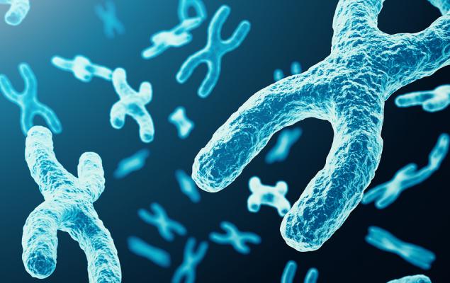 ADMA Biologics, în creștere cu 13,8%: Oportunități promițătoare pentru 2026 Acțiunile ADMA Biologics au înregistrat o creștere remarcabilă de 13,8% în ultimele trei luni, depășind astfel progresul sectorului, care a crescut cu 9% în aceeași perioadă