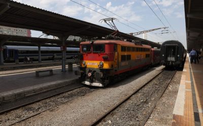 ID264263_INQUAM_Photos_George_Calin-1000x667.jpg - FluxNational