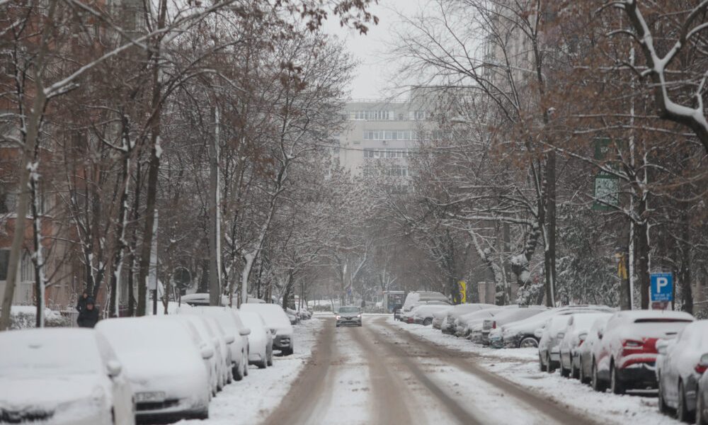 ID330609_INQUAM_Photos_George_Calin-1000x667.jpg - FluxNational