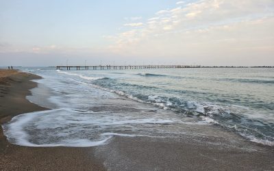 IMG-20251109-WA0019.jpg - FluxNational