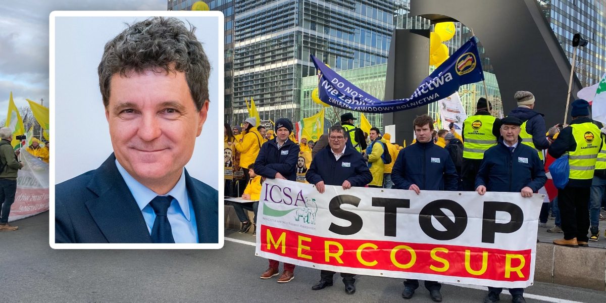 Nicusor-Dan-spune-ca-Romania-sustine-acordul-Mercosur.webp.jpeg - FluxNational