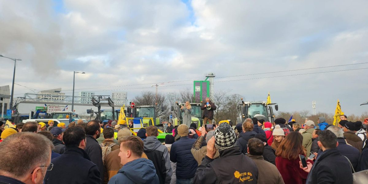 OTg5YTk4MmJmOTcxMGFkZDNmOTE3ODM2NTJjZg.thumb_.jpg - FluxNational