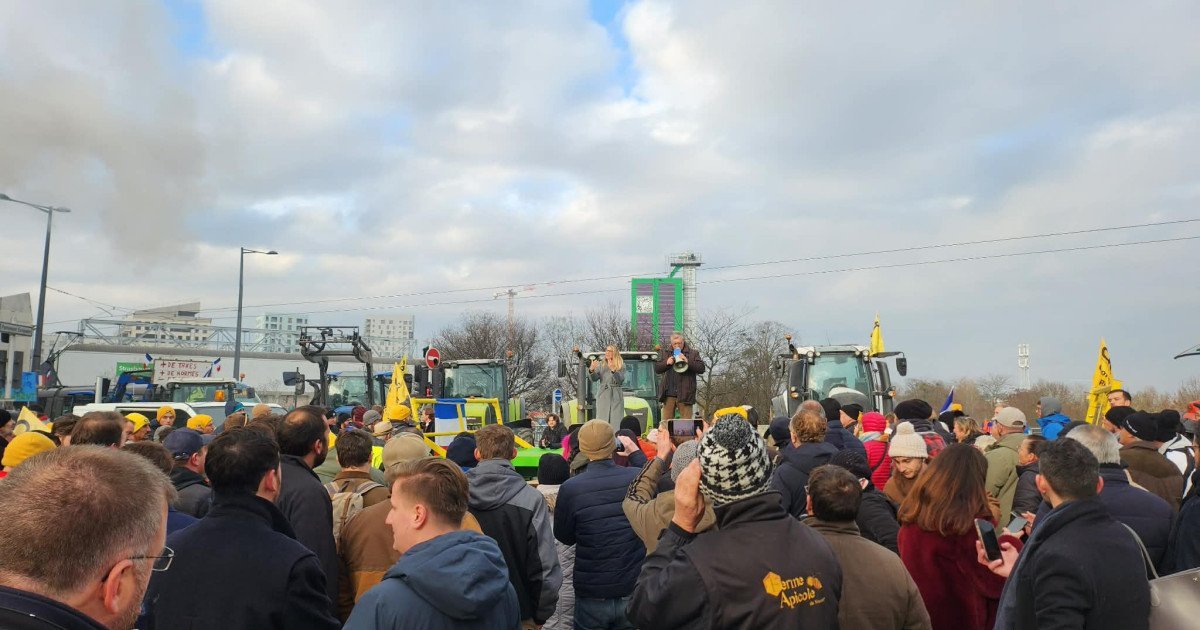 Fermierii români protestează la Strasbourg împotriva Acordului Mercosur Începând cu ora 10:30, marți, peste 200 de fermieri români, membri ai organizațiilor Pro Agro și Alianța pentru Agricultură și Cooperare, s-au alăturat zecilor de mii de agricultori din întreaga Uniune Europeană pentru a manifesta împotriva Acordului Mercosur
