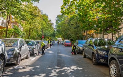 Sector-2-masini-ridicate.jpg - FluxNational