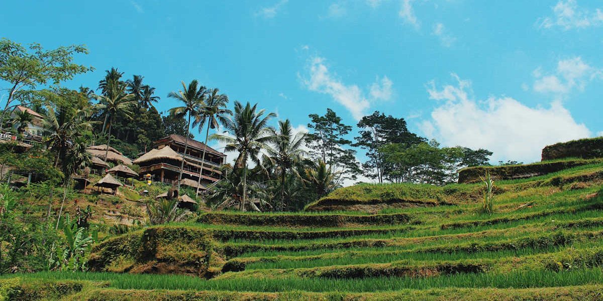 Trendul Daymaxxing: Oportunitate profitabilă pentru turiștii din Bali?