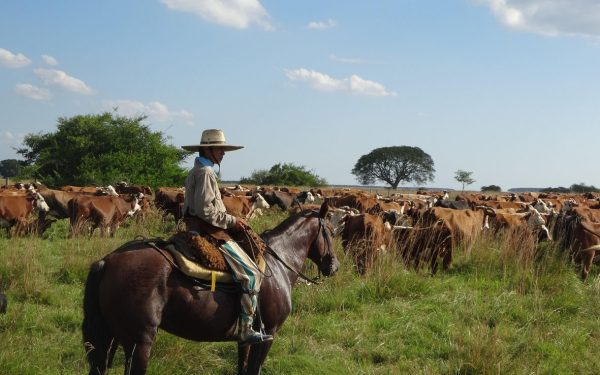 Sărbătoarea agriculturii europene, sub tăvălugul mercantilismului Pe 17 ianuarie 2026, Uniunea Europeană a ratificat acordul comercial cu Mercosur, un moment care a stârnit temeri profunde în rândul agricultorilor din Franța