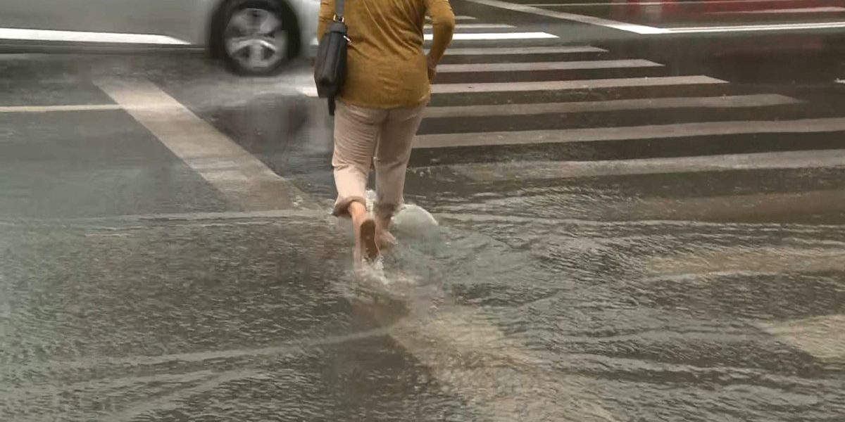 YThhMWE3NzA3NjIwYmYyM2NiYTdlYjljMWJkZQ.thumb_.jpg - FluxNational