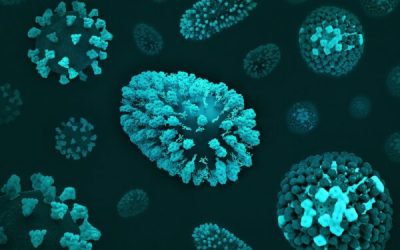 admin-ajax-5-1.jpeg - FluxNational