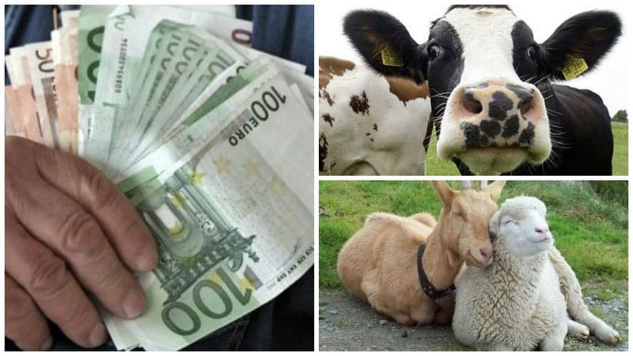 colaj-plata-animale_o.jpg - FluxNational