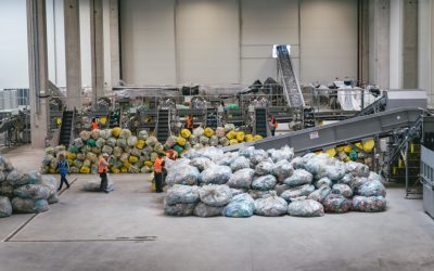 edi1142.jpg - FluxNational