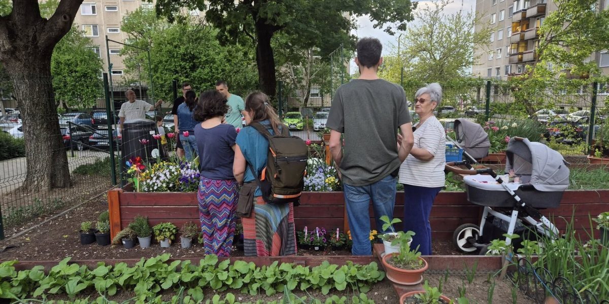 Zeci de inițiative civice din București și alte orașe din România se strâng pentru a cere autorităților locale legalizarea grădinilor comunitare pe domeniul public, un fenomen deja răspândit în multe capitale europene, dar încă interzis în țara noastră