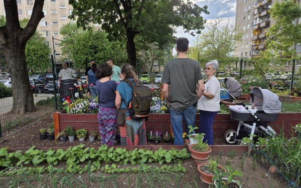 Zeci de inițiative civice din București și alte orașe din România se strâng pentru a cere autorităților locale legalizarea grădinilor comunitare pe domeniul public, un fenomen deja răspândit în multe capitale europene, dar încă interzis în țara noastră