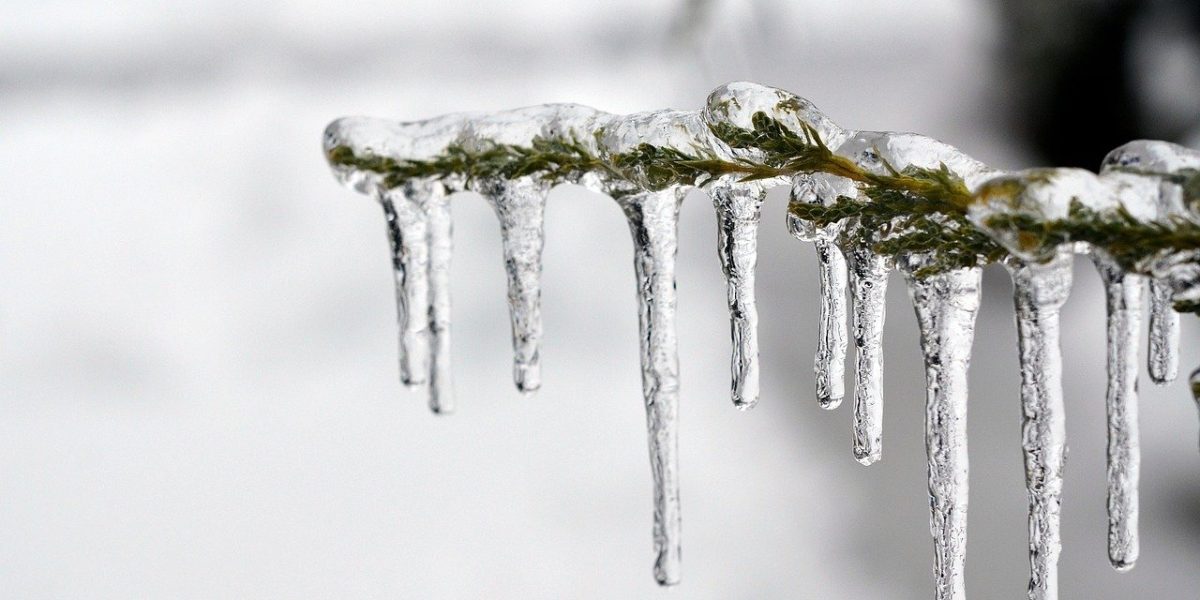 Vremea se încălzește treptat la începutul celei de-a doua jumătăți a lunii ianuarie, după un început de an marcat de temperaturi extrem de scăzute și ninsori abundente