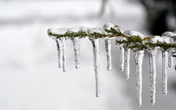Vremea se încălzește treptat la începutul celei de-a doua jumătăți a lunii ianuarie, după un început de an marcat de temperaturi extrem de scăzute și ninsori abundente