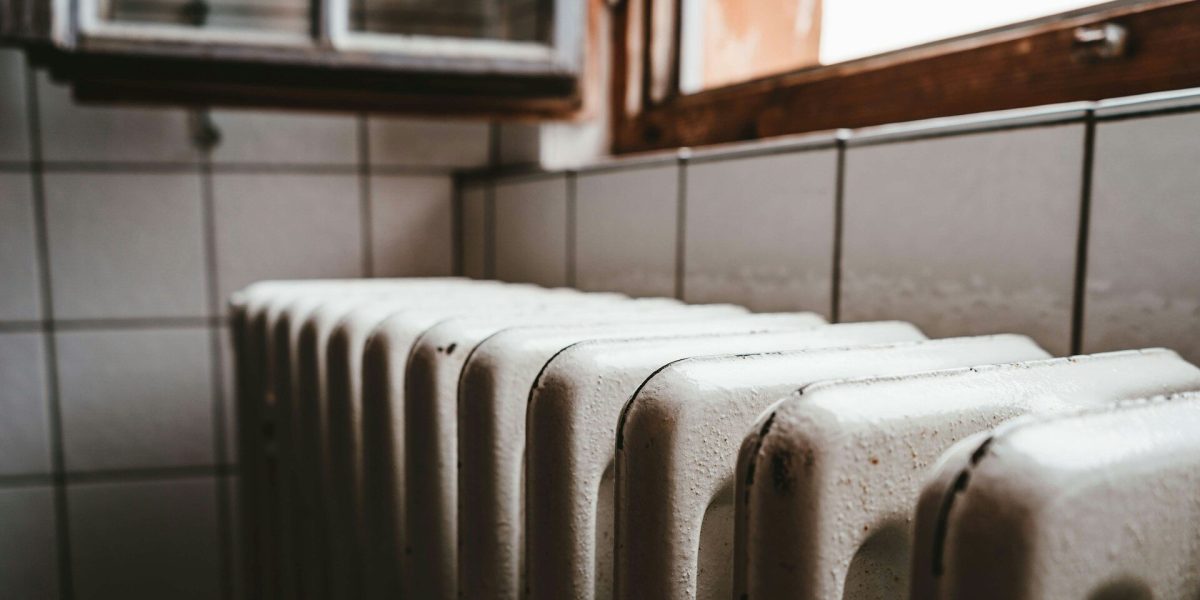 julian-hochgesang-ihx1LdtnGXw-unsplash-e1769096986622.jpg - FluxNational