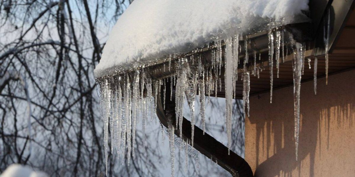 turturi.jpg - FluxNational