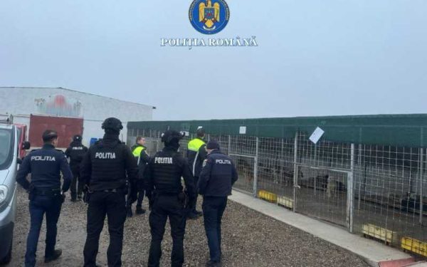 Trei persoane, plasate sub control judiciar pentru abuzuri grave la adăpostul de câini din Suraia Trei persoane au fost plasate sub control judiciar în cazul adăpostului privat de câini din Suraia, fiind investigate pentru uciderea cu intenție a animalelor, schingiuirea acestora, abuz în serviciu și fals intelectual