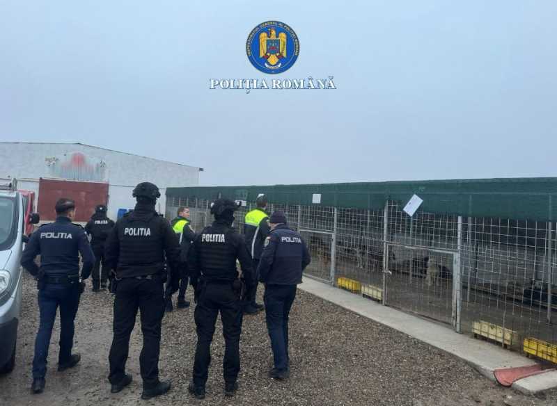 Trei persoane, plasate sub control judiciar pentru abuzuri grave la adăpostul de câini din Suraia Trei persoane au fost plasate sub control judiciar în cazul adăpostului privat de câini din Suraia, fiind investigate pentru uciderea cu intenție a animalelor, schingiuirea acestora, abuz în serviciu și fals intelectual