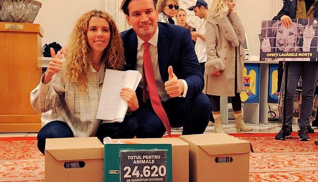 Ministrul Educației introduce ora de protecție a animalelor în școli.