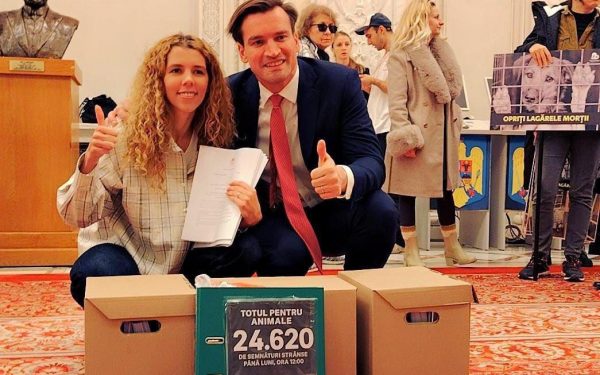 Ministrul Educației introduce ora de protecție a animalelor în școli.