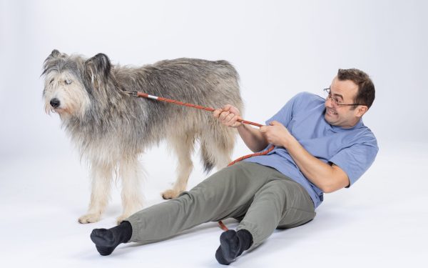 „Efectul Pufi”: film românesc pentru hrănirea animalelor din adăposturi, în Sector 2