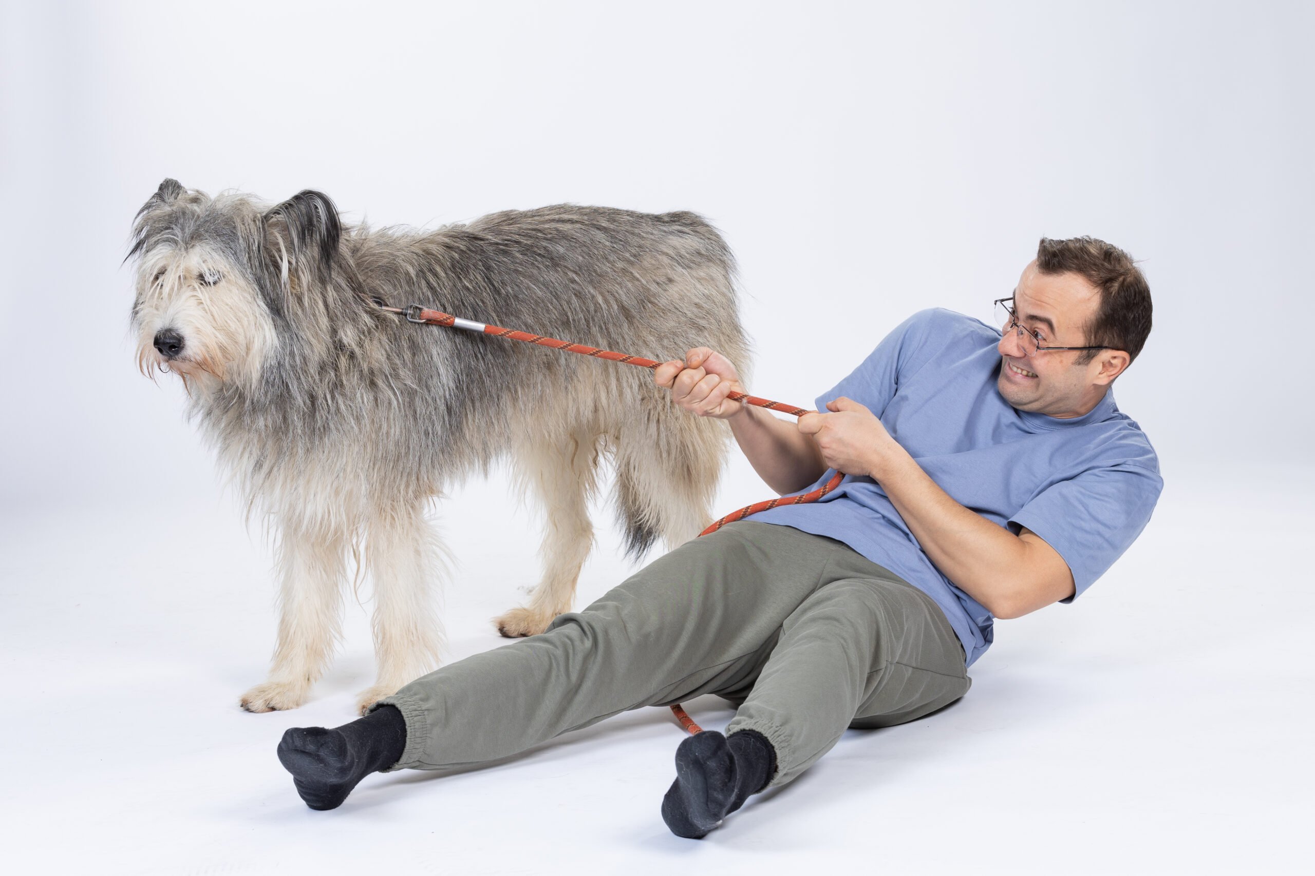 „Efectul Pufi”: film românesc pentru hrănirea animalelor din adăposturi, în Sector 2