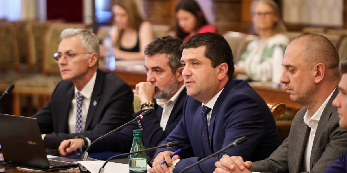 Radu-Miruta.jpeg - FluxNational