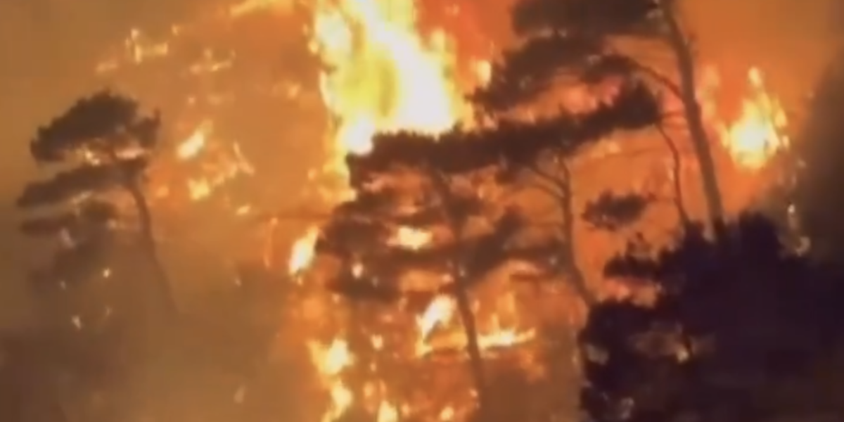 Screenshot-2024-07-10-at-22.52.14.png - FluxNational