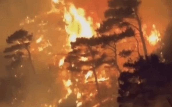 Fumul din incendiile de pădure din Statele Unite a ucis peste 24.000 de americani între anii 2006 și 2020, relevă un studiu recent, subliniind gravitatea crizei climatice și necesitatea unei acțiuni rapide