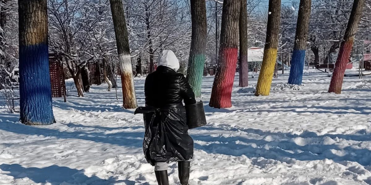 Administrația Locală din Alexandria a demarat în această primăvară o campanie de fertilizare a spațiilor verzi, însă metodologia și momentul alegerii ar putea stârni discuții între specialiști și cetățeni
