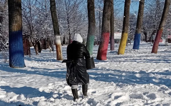 Administrația Locală din Alexandria a demarat în această primăvară o campanie de fertilizare a spațiilor verzi, însă metodologia și momentul alegerii ar putea stârni discuții între specialiști și cetățeni