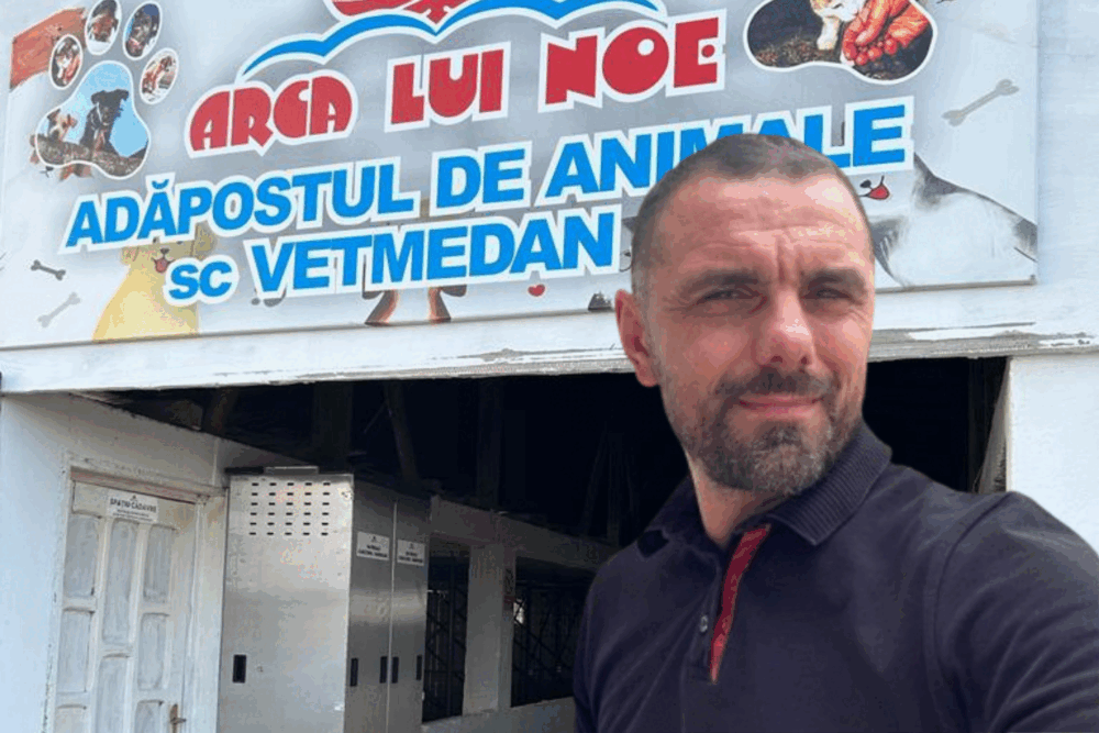 Imaginea unei crime orchestrate cu bani publici, semnalată de ONG-uri, scoate la iveală un sistem dureros și corupt în gestionarea câinilor fără stăpân din România Recent, scandalul legat de adăpostul privat „Arca lui Noe”, din Vrancea, a șocat opinia publică și a adus în prim-plan un adevărat sistem de abuz și ilegalități în gestionarea animalelor de companie