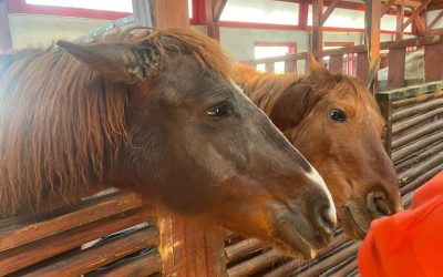 WhatsApp-Image-2024-03-29-at-1.21.34-PM-1536x1152-1.jpeg - FluxNational