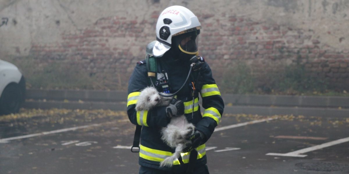 Fost pompier din Oradea, judecat pentru falsificarea calității și fraudare cu peste 20.000 euro pentru „angajări” la SRI, SIE, SMURD și ISU