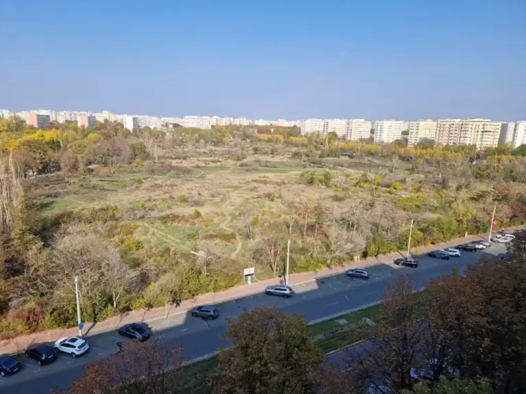 amendaior-1.webp.webp - FluxNational