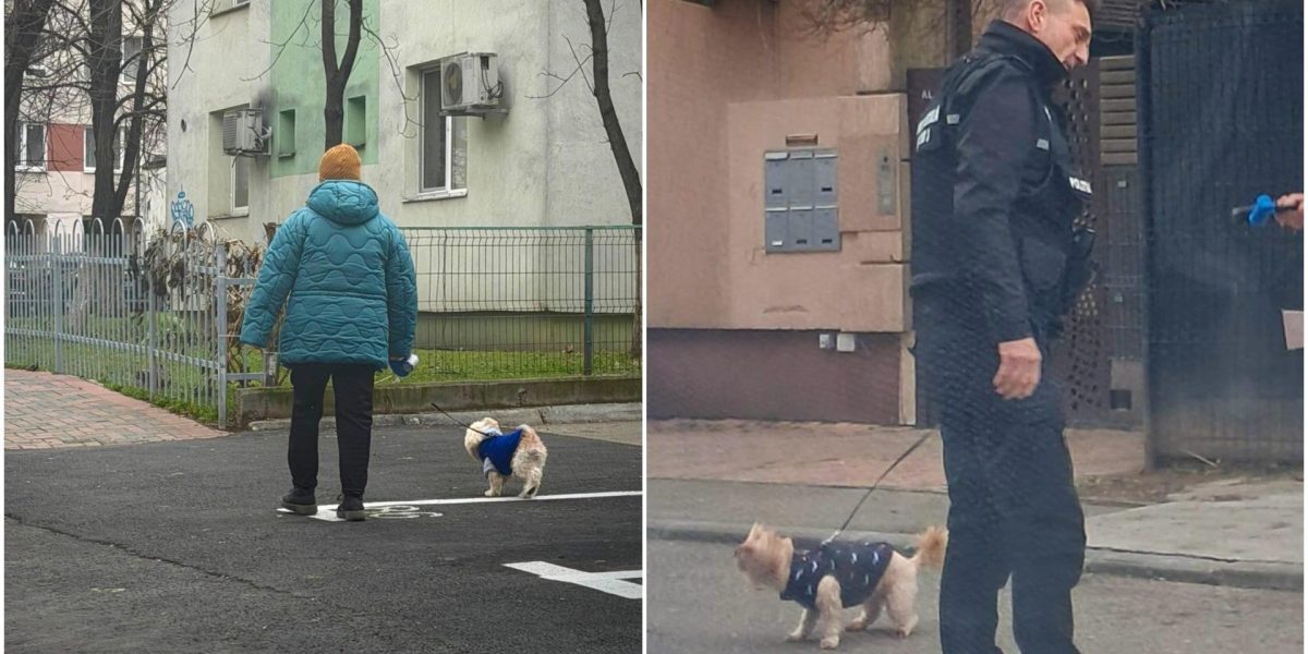 Primăria Sectorului 3 din București a intensificat acțiunile de control pentru a combate fenomenul isteric al neglijenței față de curățenia stradală, aplicând amenzi de peste 10.000 de lei în ultima perioadă