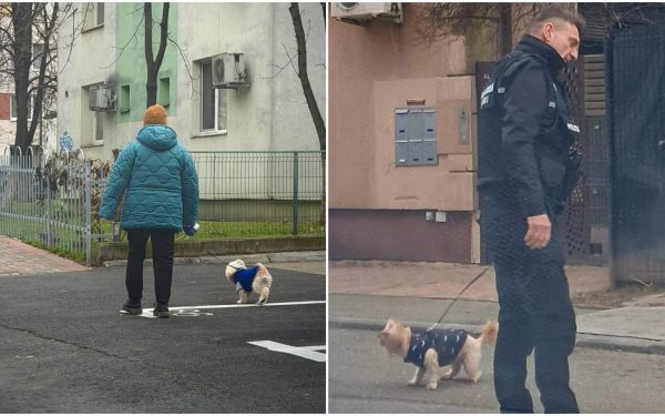 Primăria Sectorului 3 din București a intensificat acțiunile de control pentru a combate fenomenul isteric al neglijenței față de curățenia stradală, aplicând amenzi de peste 10.000 de lei în ultima perioadă