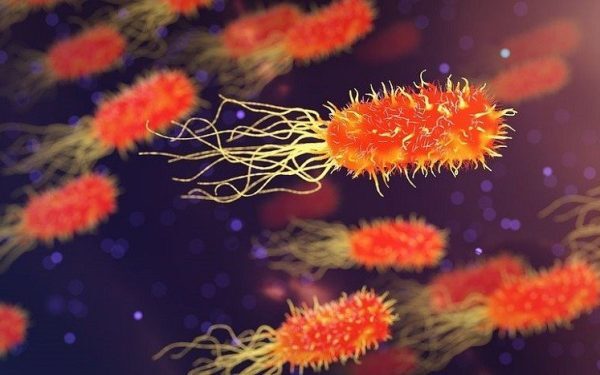 RO-ALERT: Bacteria Clostridium perfringers detectată în apa de la Curtea de Argeș, apa, nepotabilă, doar pentru uz menajer