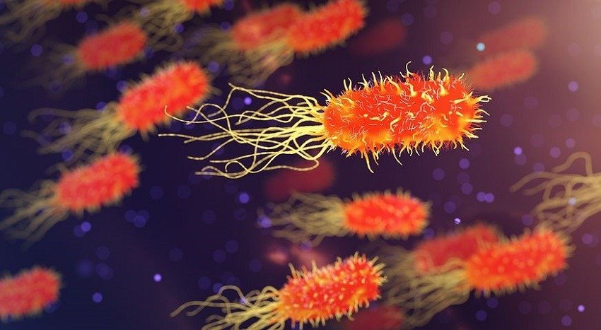 RO-ALERT: Bacteria Clostridium perfringers detectată în apa de la Curtea de Argeș, apa, nepotabilă, doar pentru uz menajer