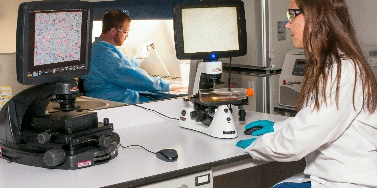 România aliniată standardelor europene în radiologia medicală: noua metodologie pentru examenul de specialitate aprobată de Ministerul Sănătății Ministrul Sănătății, Alexandru Rogobete, a anunțat recent aprobarea unui pas important pentru sistemul medical românesc, menit să ridice nivelul pregătirii radiologilor din țară și să asigure o mai mare comparabilitate cu standardele europene